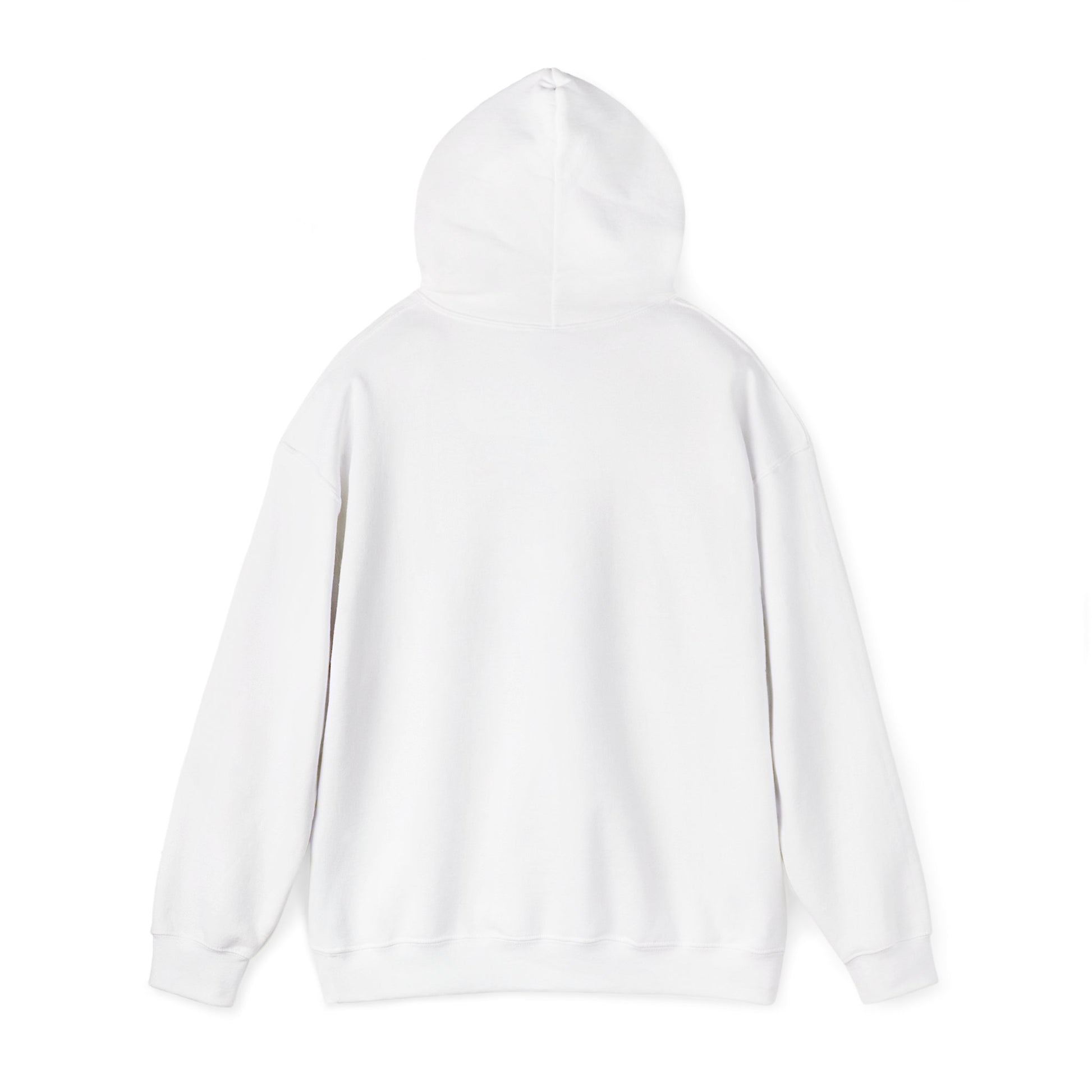 Back of Stoic Raven small logo hoodie in white – Northern Supply Co.