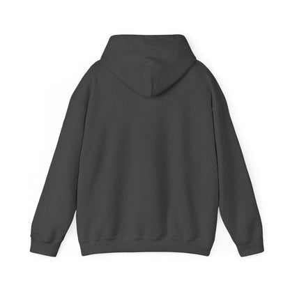 EKATI Bears Heavy Hoodie
