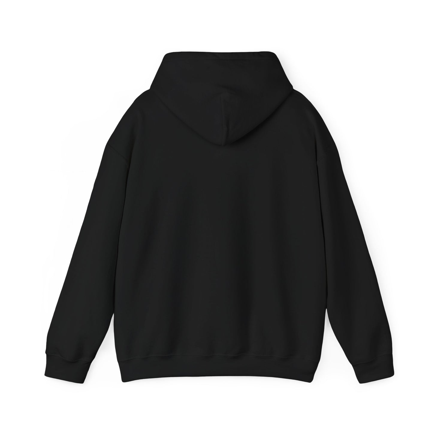 Back of Stoic Raven small logo hoodie in black – Northern Supply Co.