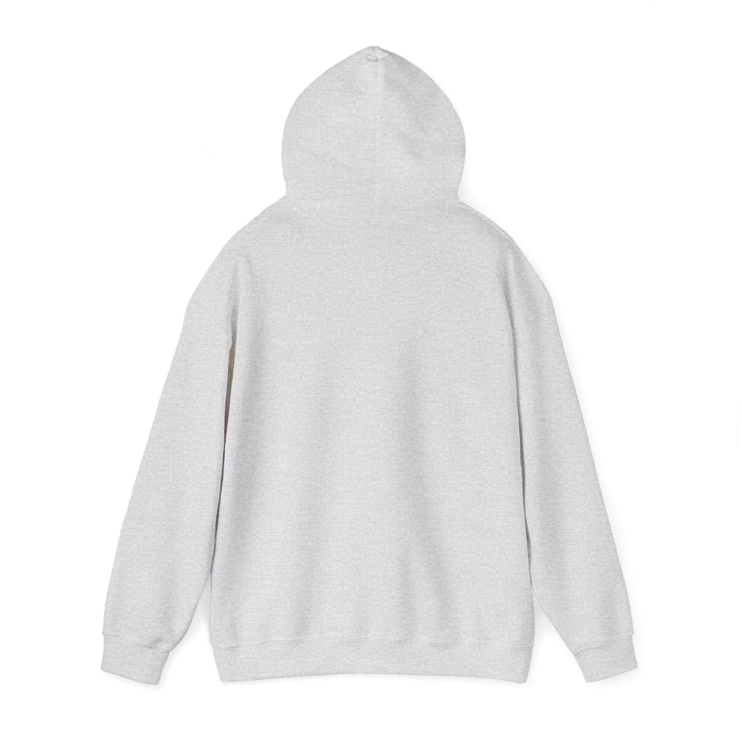 Back of Stoic Raven small logo hoodie in grey – Northern Supply Co.