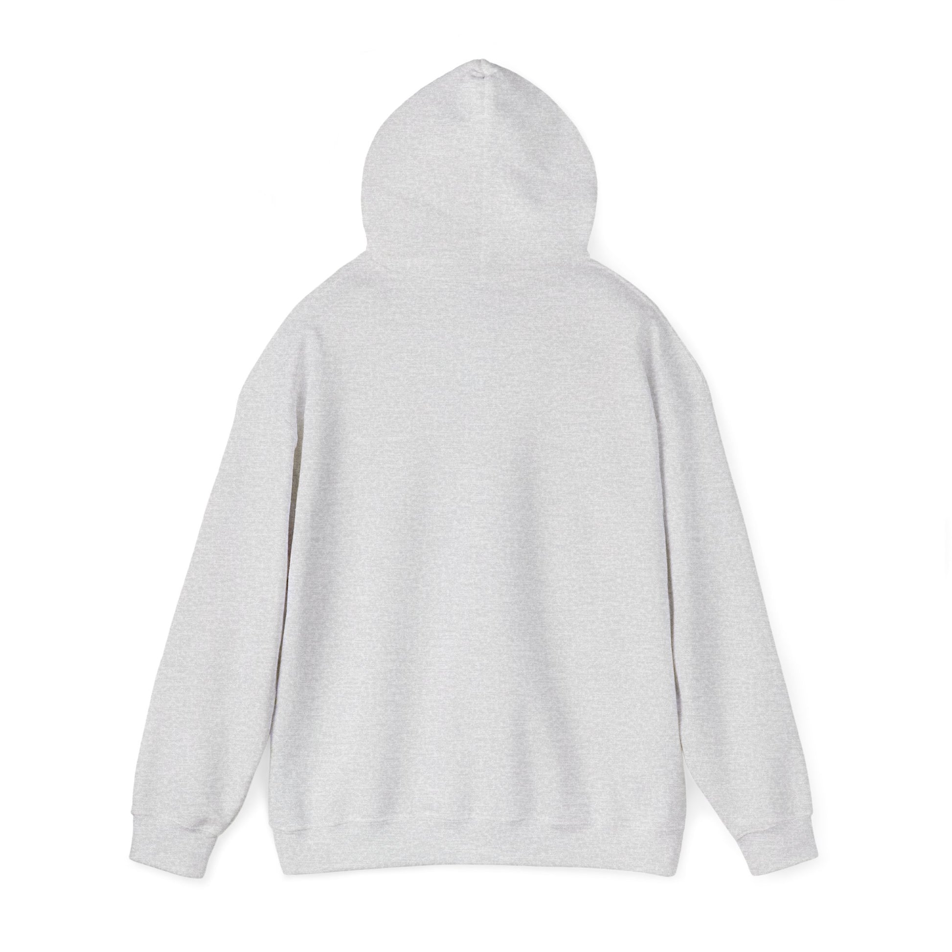 Back of Stoic Raven small logo hoodie in grey – Northern Supply Co.