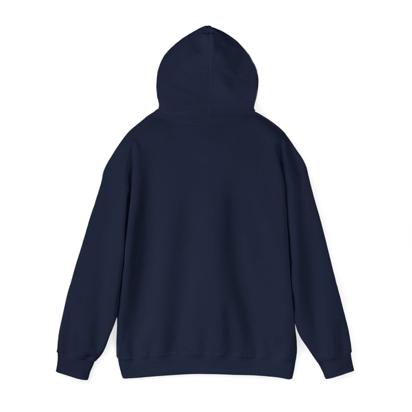 Back of Stoic Raven small logo hoodie in navy – Northern Supply Co.