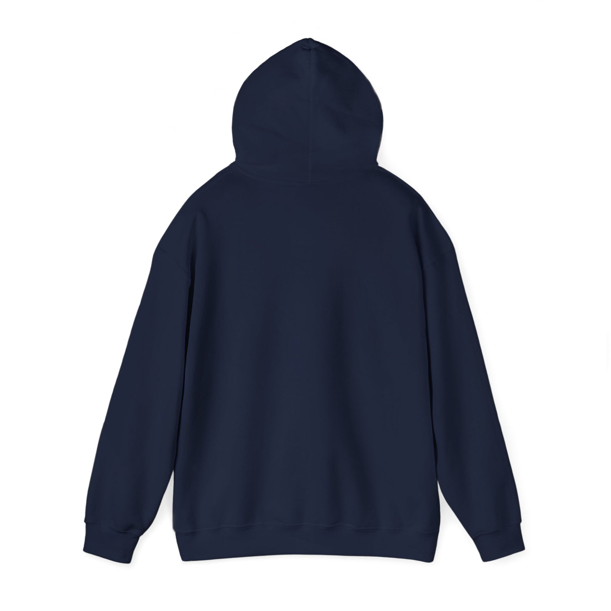 Back of Stoic Raven small logo hoodie in navy – Northern Supply Co.
