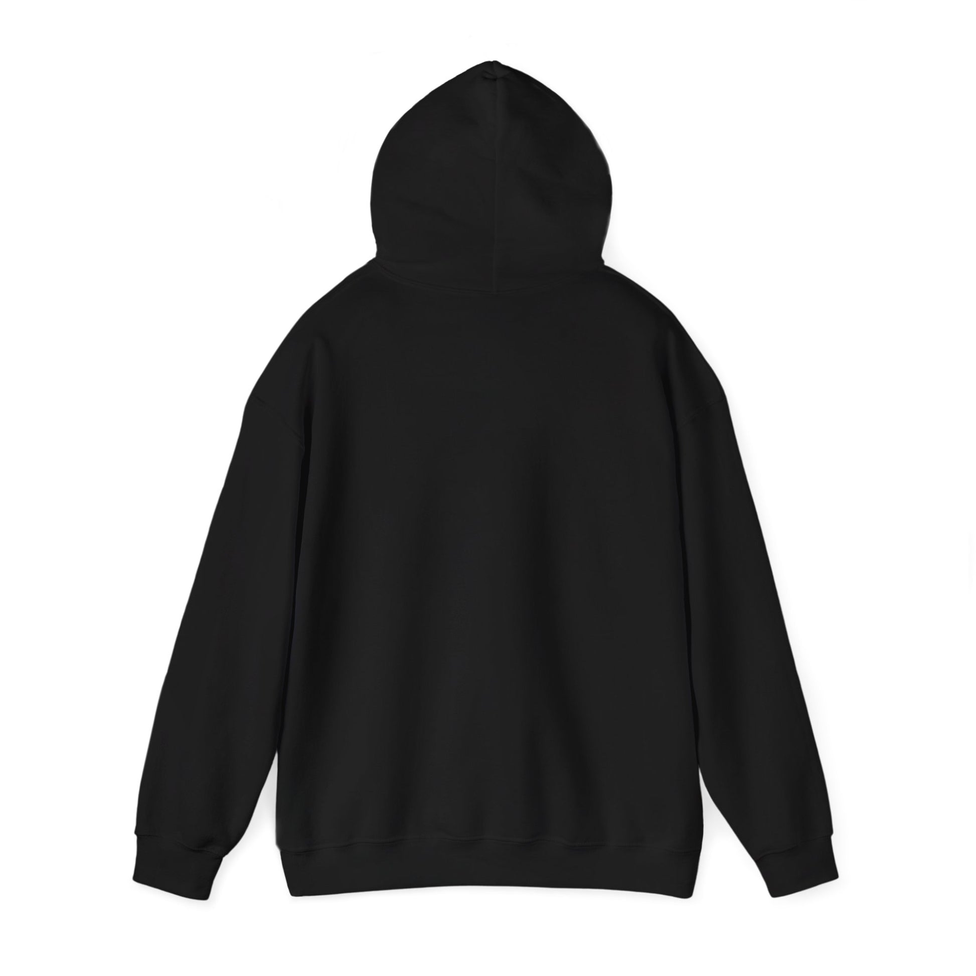 Back of Stoic Raven small logo hoodie in black – Northern Supply Co.