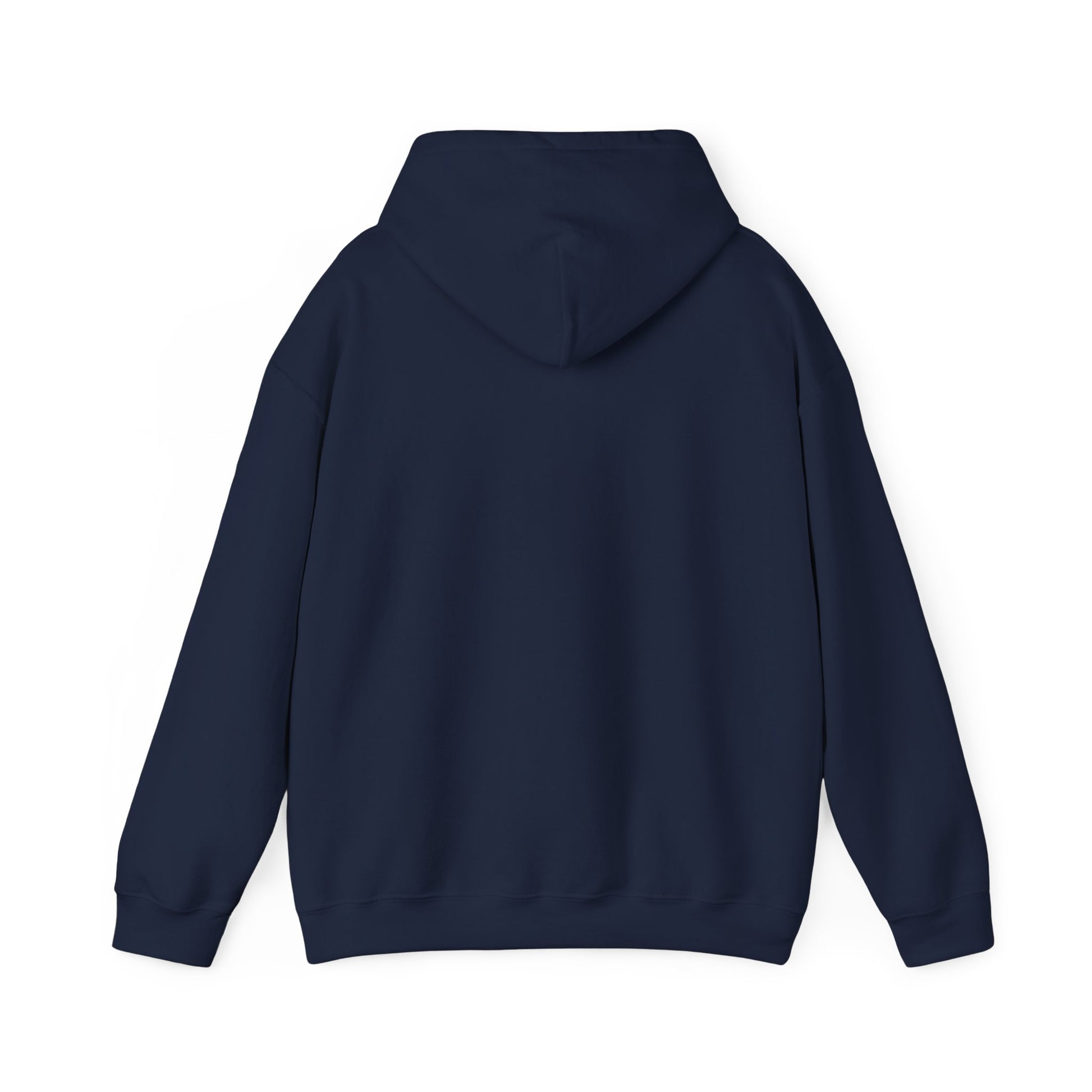 Back of Stoic Raven small logo hoodie in navy – Northern Supply Co.